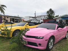 -丽姐租车