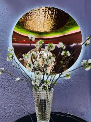 -花隐·美芙炫海菲秀皮肤管理中心