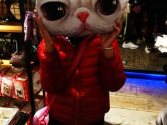 -猫咪博物馆(顶澳仔猫街店)