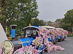 -上海鲜花港