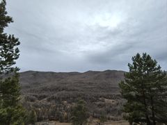 -莫尔道嘎国家森林公园