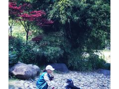 -新虹桥中心花园