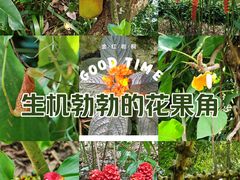 -中国科学院西双版纳热带植物园