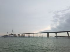 -中澳友谊花园