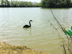 -艾溪湖湿地公园