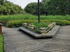 -成都市活水公园
