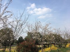 -红山体育乐园