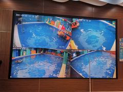 -Swim斯卫姆国际儿童游泳中心(红博中央公园店)