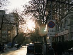 -静园(和平区)