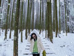 -武陵山森林公园