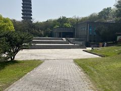 -宜兴龙背山森林公园