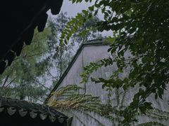 -耦园