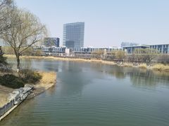 -大兴滨河森林公园