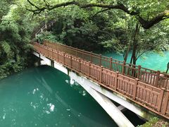 -之江大学-旧址