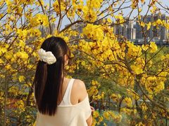-光明港公园