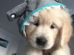 -方所(华润万象城店)