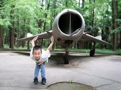 -东平国家森林公园