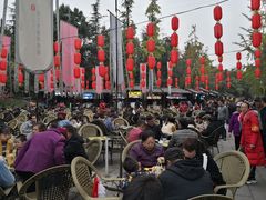 -芙蓉门·川剧变脸长嘴壶茶艺茶文化表演研学