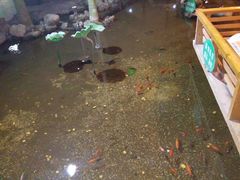 -大和洗浴休闲会所(宏大广场店)
