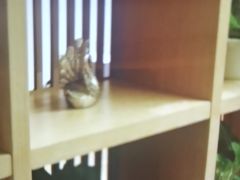 -尚荟汤泉生活馆