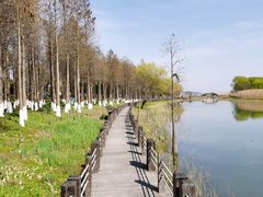 -太湖湖滨国家湿地公园-停车场