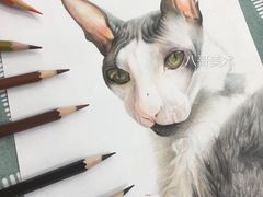 -八哥美术·成人美术画室(总校区)