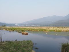 -腾冲北海湿地