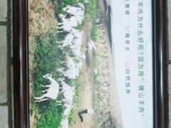 -老村长大锅炖羊肉(榆林大道店)