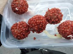 -仓库烤肉(绿园店)