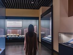 -广西壮族自治区博物馆