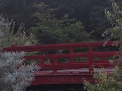 -羊山湖公园