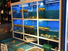 水产区-金龙·打边炉(南京西路店)