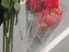 -桂溪生态公园