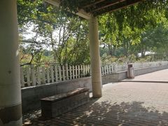 -郑州植物园