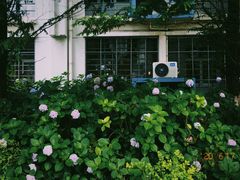 -南京工程学院(江宁校区)