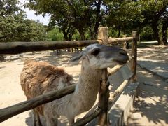 -西安秦岭野生动物园