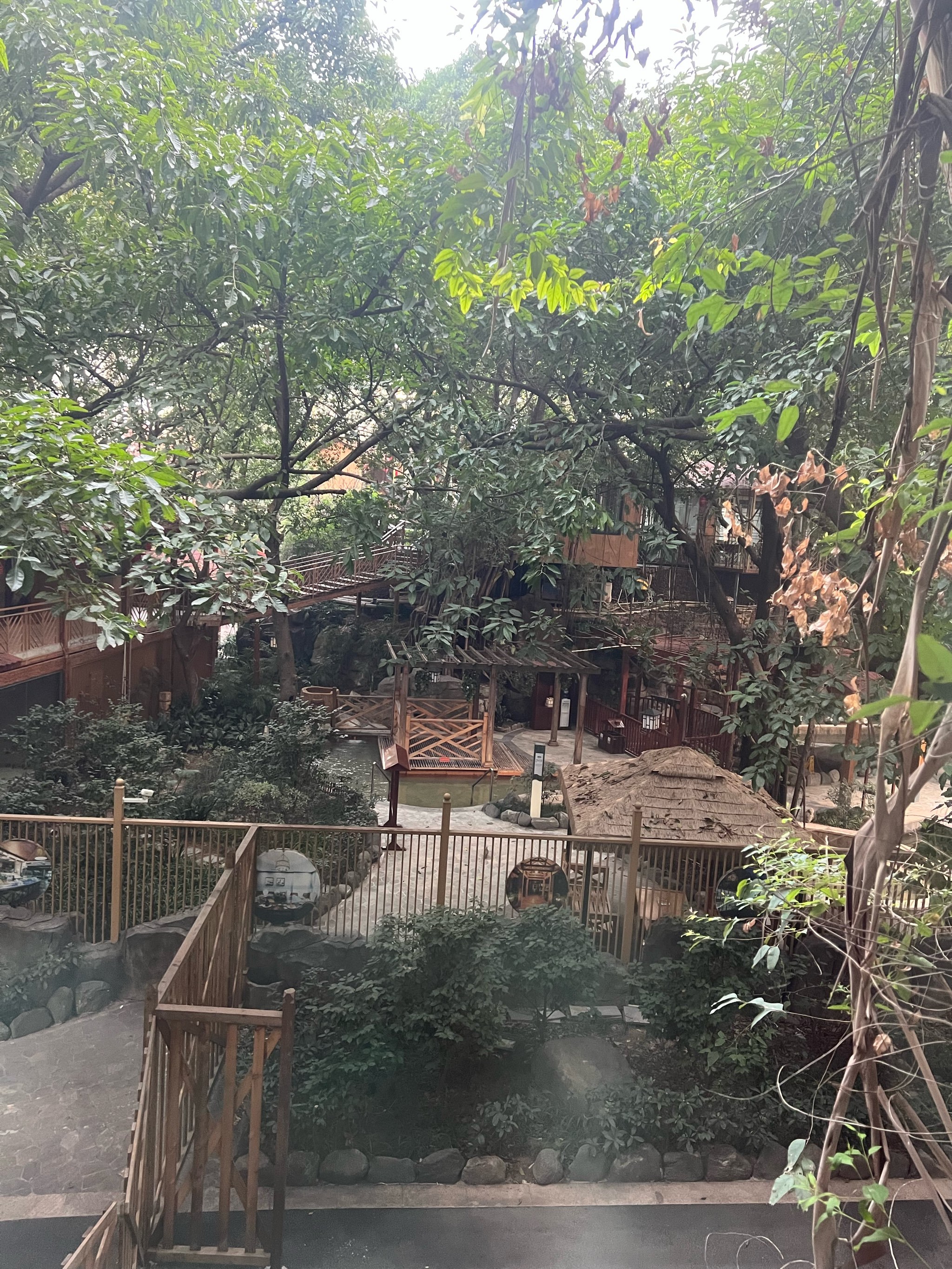 春日旅行的高光时刻