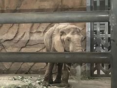 -武汉动物园
