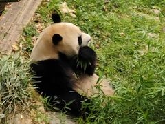 -黔灵山公园