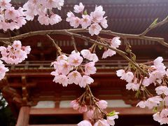 -醍醐寺