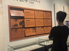 -香市公园-中国沉香文化博物馆