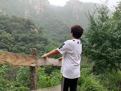 -大岭沟猕猴桃谷风景区