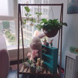 -Hi Skin皮肤管理中心
