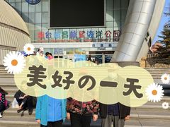 -烟台海昌鲸鲨海洋公园