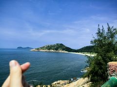 -广东惠东海龟国家级自然保护区