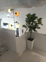 -I+造型烫发染发