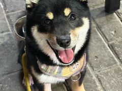 -大桶大足浴(江桥店)