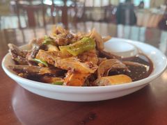 -龙翔山庄雷鸡肉(青城后山泰安古镇店)