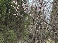 -万泉公园