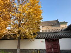 -保定直隶总督署博物馆